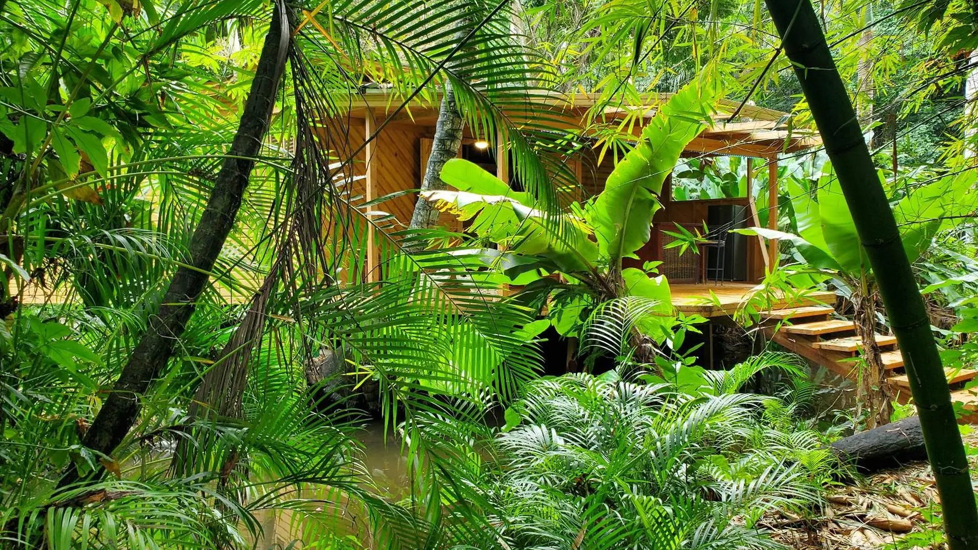 Jungle Lodge Cabarete